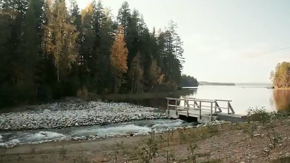 Fishways at the Faxälven River