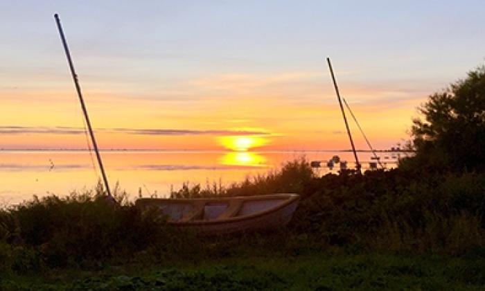 Barsebäck environment