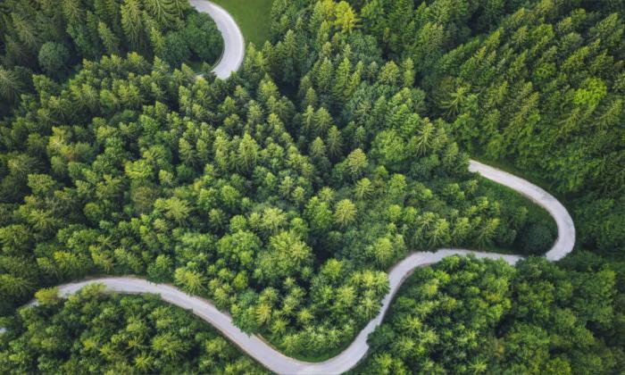 Capital Markets story