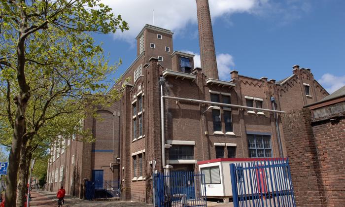 Leiden city plant