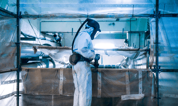 Project & Risk Management