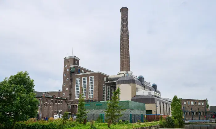 Leiden city plant