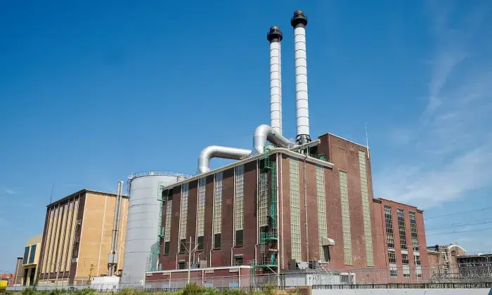 The Hague City plant