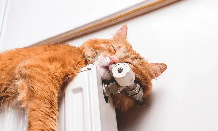 An orange cat sleeping peacefully on top of a radiator, resting its head against a valve.