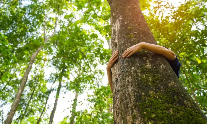 A person hugging a tree in a lush green forest, symbolizing a commitment to reducing CO2 emissions and environmental care.