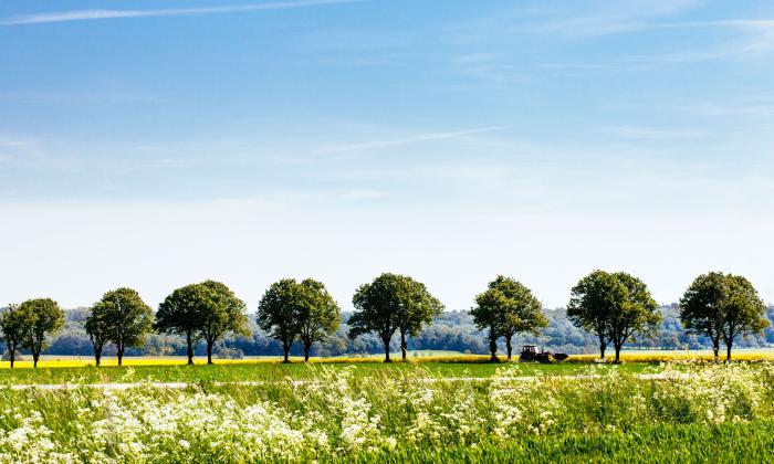 Landskap i Skåne | Uniper