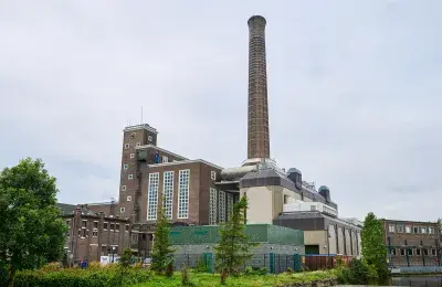 Leiden city plant