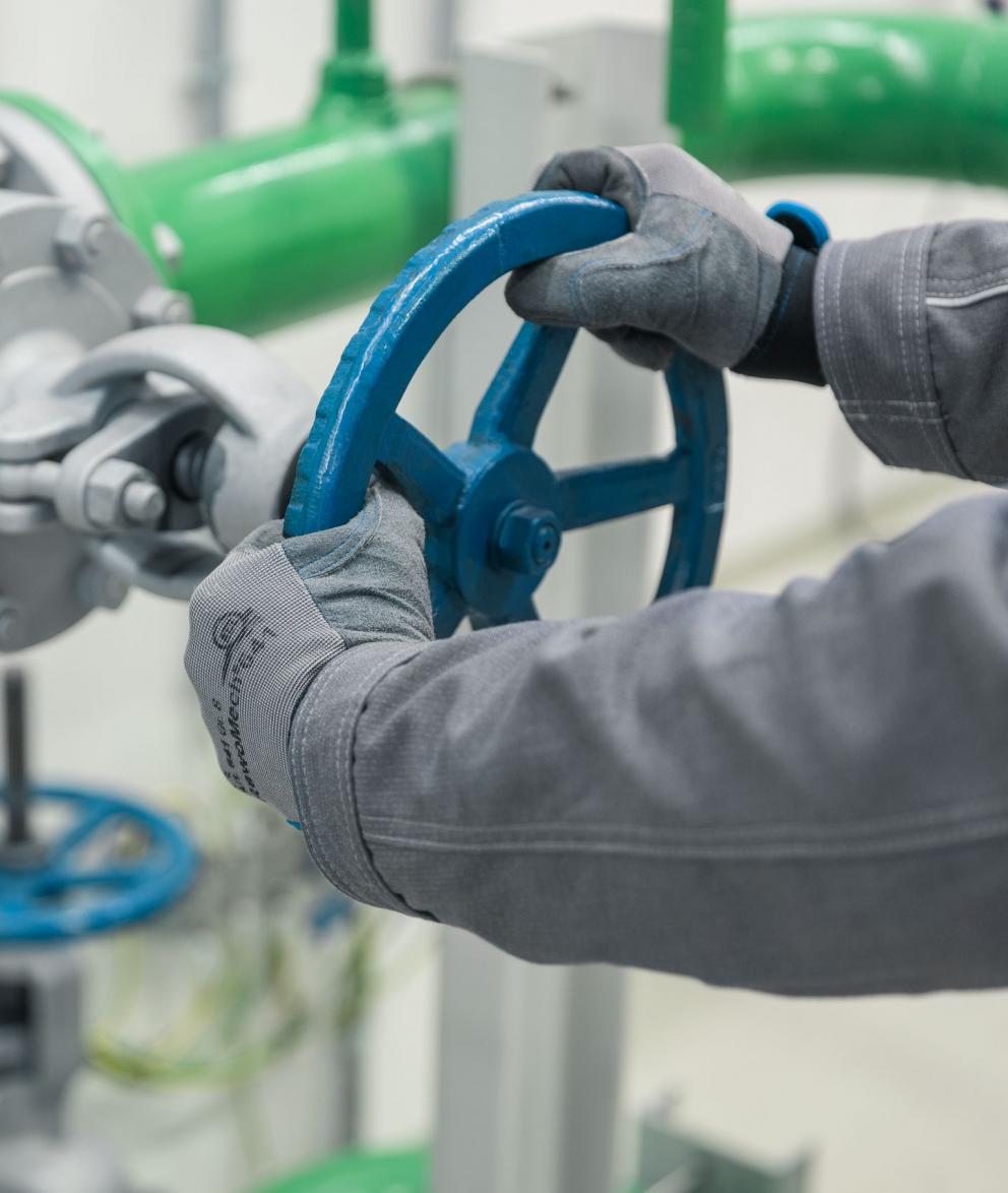 Energieprodukte, Bioerdgas