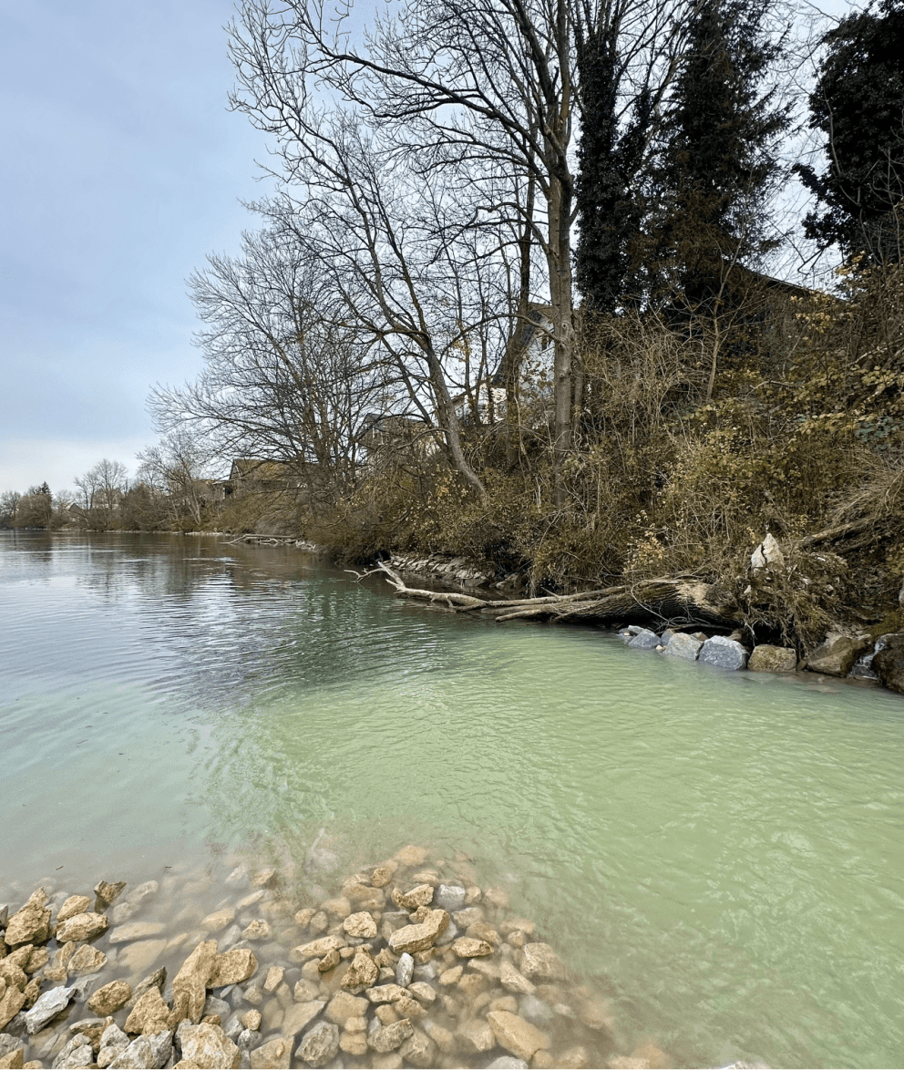 Uferabschnitt Lech bei Kaufering