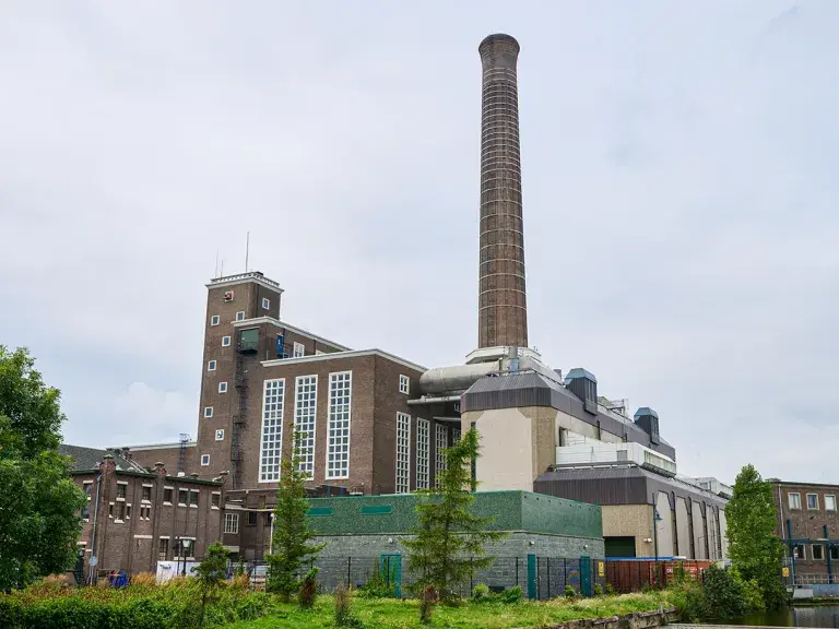 Leiden city plant