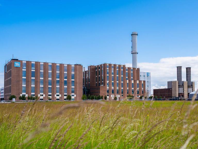 Öresundsverket på sommaren