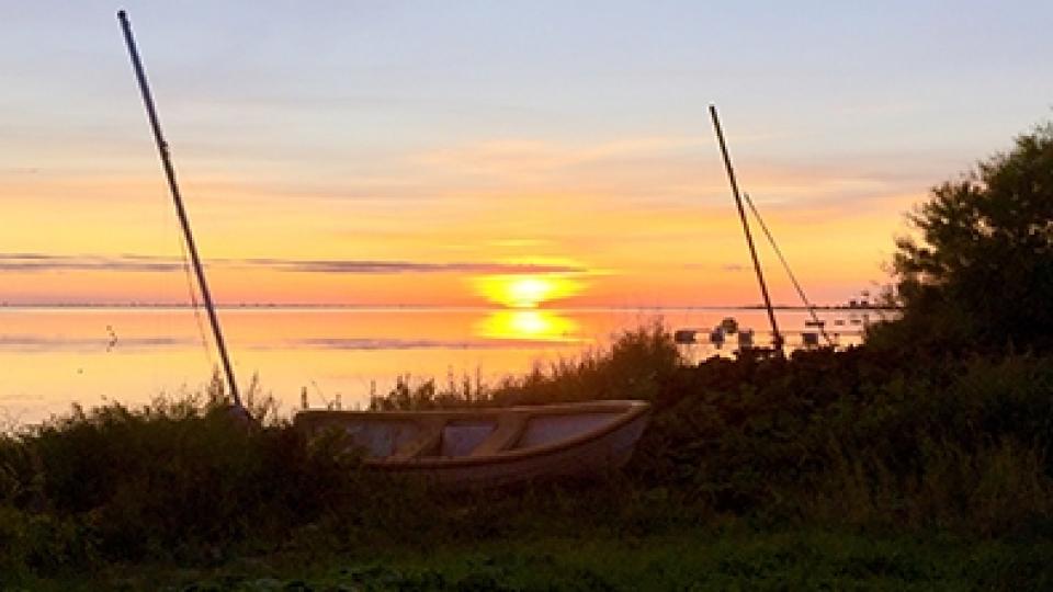 Barsebäck environment