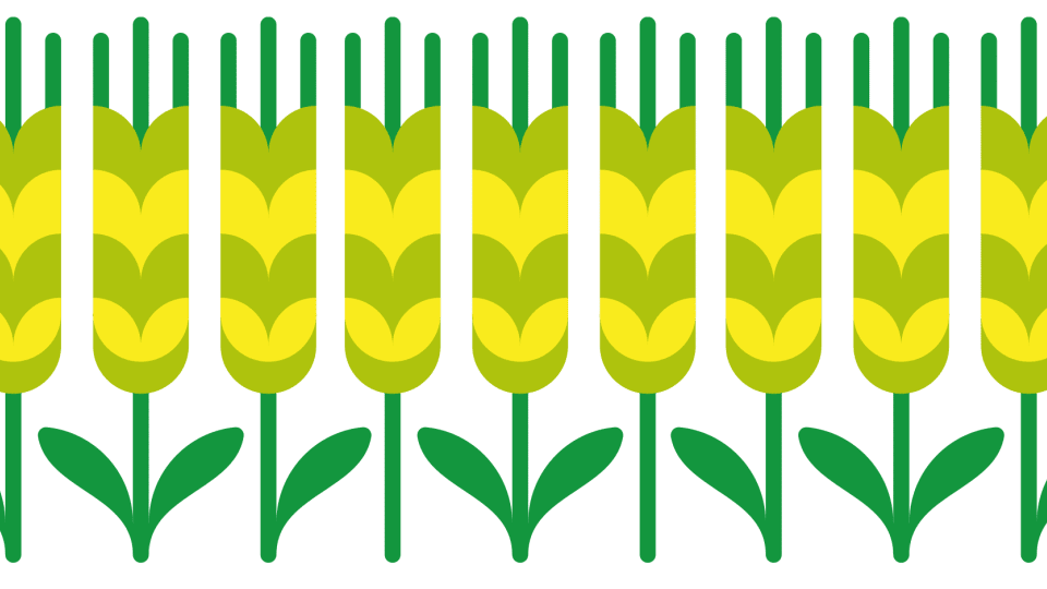 Fertilizer