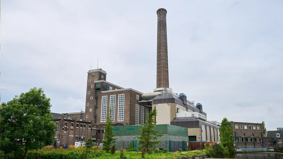 Leiden city plant
