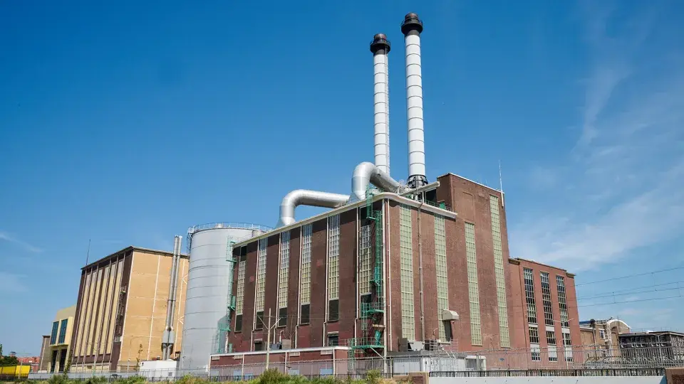 The Hague City plant