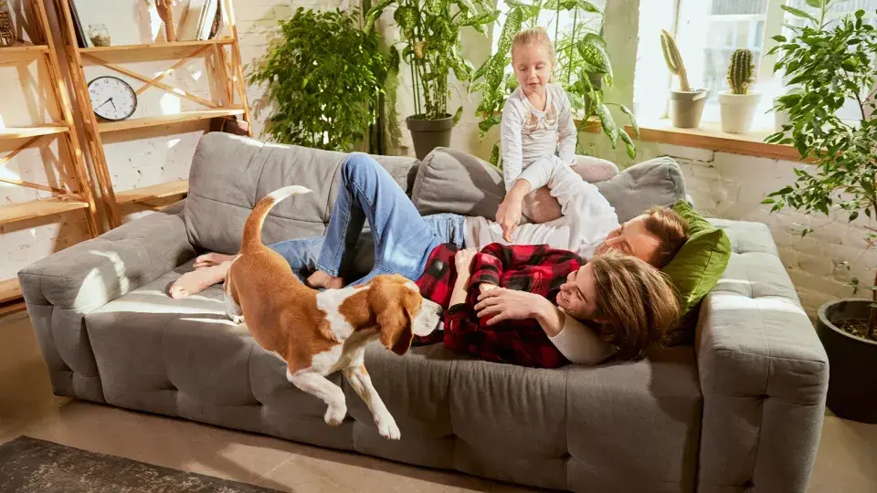 A family relaxing on a couch at home with a dog jumping onto them, surrounded by houseplants and sunlight from the windows.
