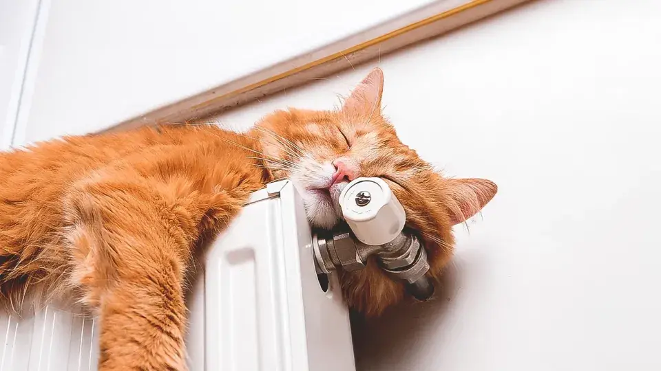 An orange cat sleeping peacefully on top of a radiator, resting its head against a valve.