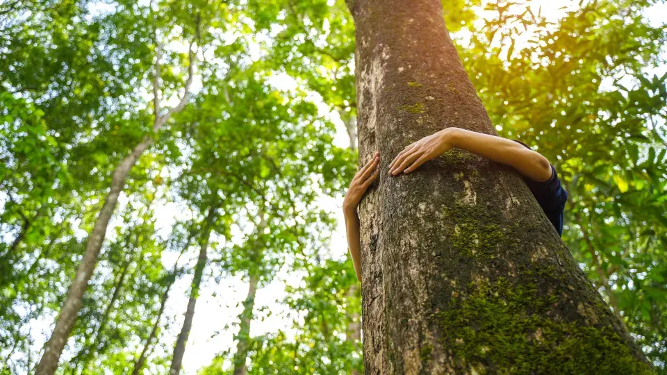 A person hugging a tree in a lush green forest, symbolizing a commitment to reducing CO2 emissions and environmental care.