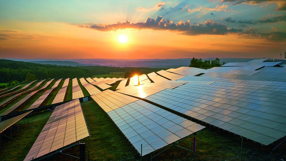 Image shows a solar farm at sunset