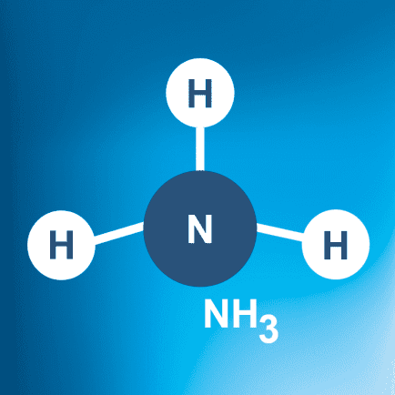 Ammonia II