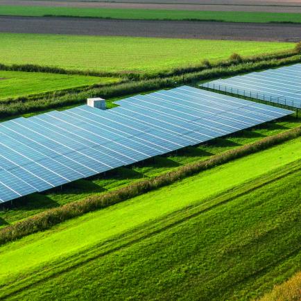 Solar farm