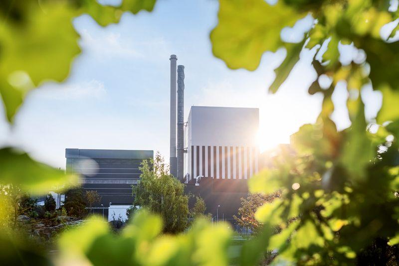 OGK Nuclear plant framed by leaves in sunlight