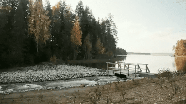 Fiskväg i Faxälven | Uniper