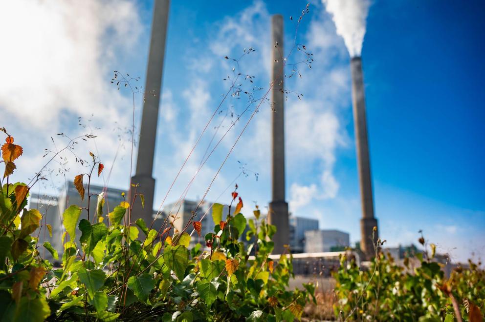 Karlshamnsverket på sommaren | Uniper