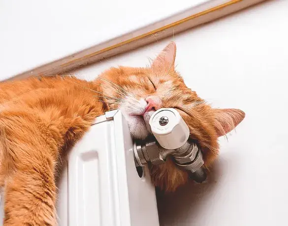 An orange cat sleeping peacefully on top of a radiator, resting its head against a valve.