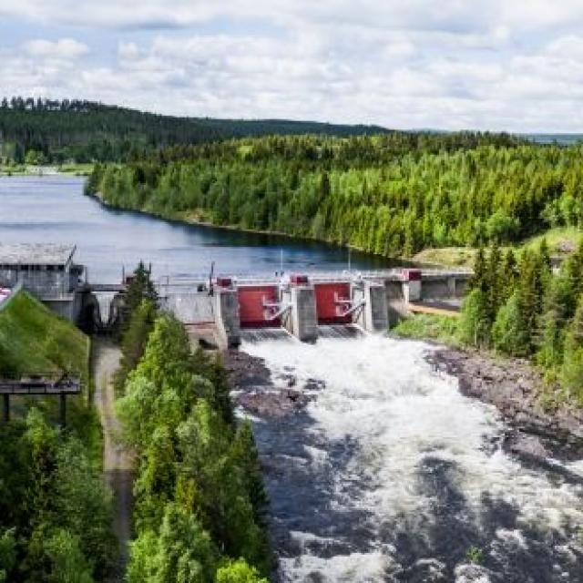 Grüne Vollversorgung