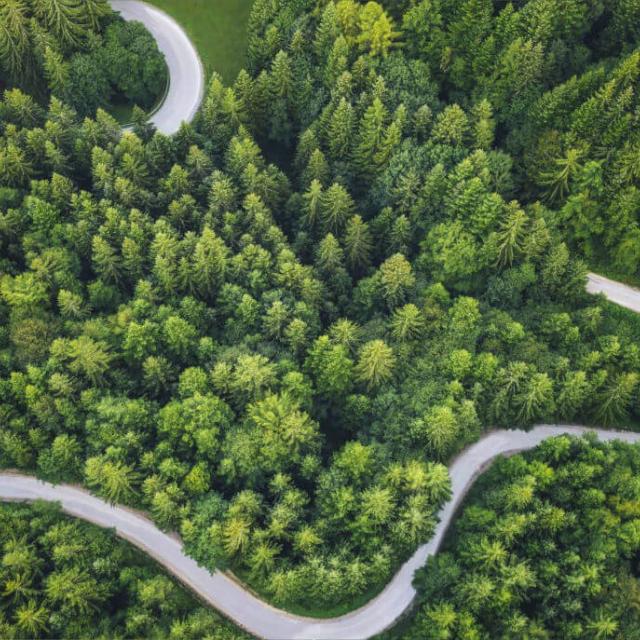 Capital Markets story