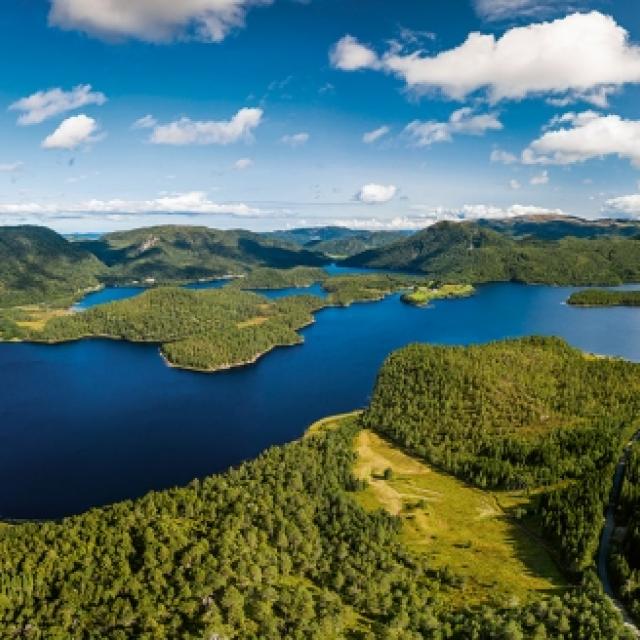 Responsible sourcing engagement