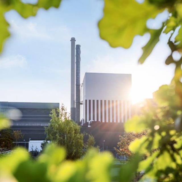 OGK Nuclear plant framed by leaves in sunlight