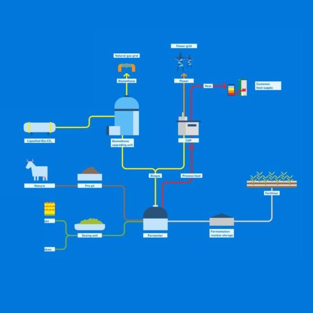 graphic biomethane value chain